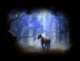 /album/lovas-kepek/a1307163967-31-png/