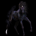 /album/lovas-kepek/a100027263-normal-png/