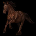 /album/lovas-kepek/a100033253-normal-png/